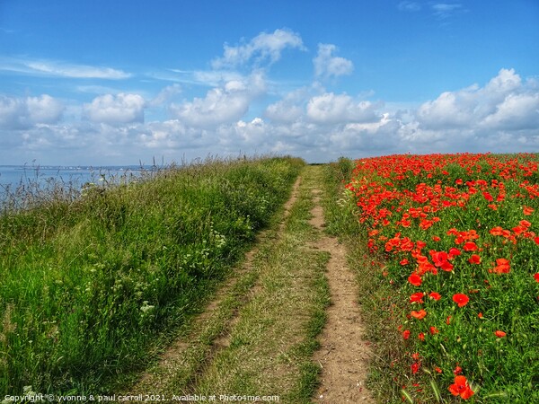 Poppies on the Flamborough Coast Picture Board by yvonne & paul carroll