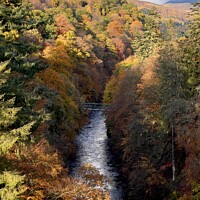 Buy canvas prints of Autumn at Killiecrankie Gorge by yvonne & paul carroll