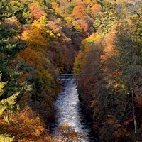 Buy canvas prints of Killiecrankie Gorge in Autumn by yvonne & paul carroll