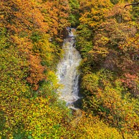 Buy canvas prints of Black Spout Falls, Pitlochry in autumn by yvonne & paul carroll