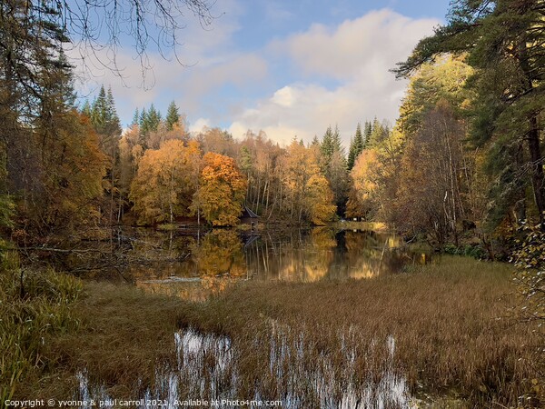 Autumn at Loch Dunmore, Pitlochry Picture Board by yvonne & paul carroll