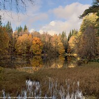 Buy canvas prints of Autumn at Loch Dunmore, Pitlochry by yvonne & paul carroll