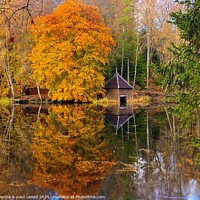 Buy canvas prints of The boathouse, Loch Dunmore, Pitlochry by yvonne & paul carroll