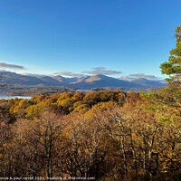 Buy canvas prints of Loch Lomond looking from the summit of Inchcailloch by yvonne & paul carroll