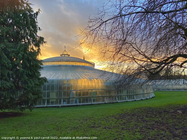 Late winter sun on the Kibble Palace, Glasgow Botanic Gardens Picture Board by yvonne & paul carroll