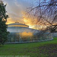 Buy canvas prints of Late winter sun on the Kibble Palace, Glasgow Botanic Gardens by yvonne & paul carroll