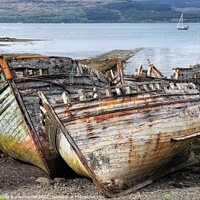 Buy canvas prints of Salen Bay shipwreck, Isle of Mull by yvonne & paul carroll