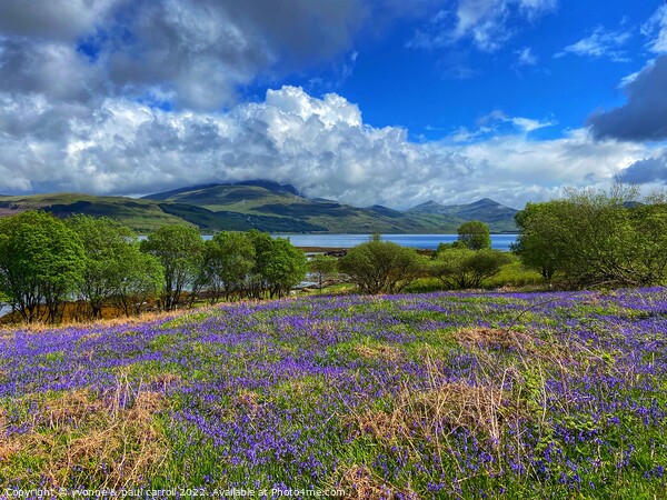 Looking towards Ben More across a field of bluebells on the Isle of Mull Picture Board by yvonne & paul carroll