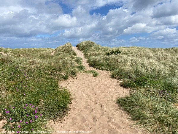 The dunes at Cheswick Sands, Northumberland Picture Board by yvonne & paul carroll