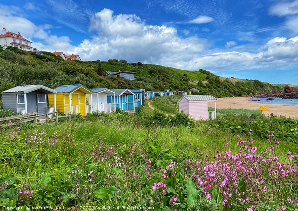 Coldingham Bay beach houses Picture Board by yvonne & paul carroll