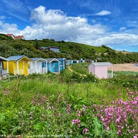 Buy canvas prints of Coldingham Bay beach houses by yvonne & paul carroll