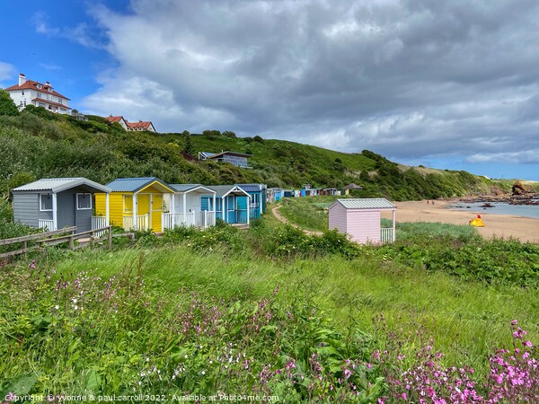 Coldingham Bay beach huts Picture Board by yvonne & paul carroll
