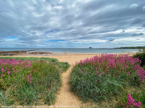 Milsey Bay beach, North Berwick Picture Board by yvonne & paul carroll