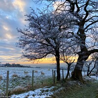 Buy canvas prints of A frosty sunset in Yorkshire by yvonne & paul carroll