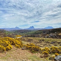Buy canvas prints of Canisp, Suilven and Cul Mor from the B869 by yvonne & paul carroll