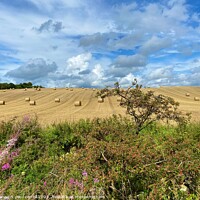Buy canvas prints of Rolls of hay and Wildflowers by yvonne & paul carroll