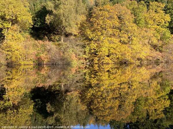 Loch Drunkie Autumn reflections Picture Board by yvonne & paul carroll