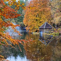 Buy canvas prints of Loch Dunmore boathouse in Autumn by yvonne & paul carroll