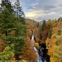 Buy canvas prints of Autumn colours by the River Garry at Killecrankie by yvonne & paul carroll