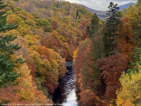 River Garry in Autumn Picture Board by yvonne & paul carroll