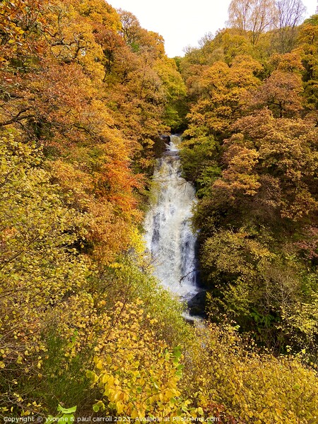 The Black Spout waterfall in Autumn Picture Board by yvonne & paul carroll