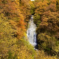 Buy canvas prints of The Black Spout waterfall in Autumn by yvonne & paul carroll
