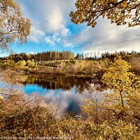 Buy canvas prints of Loch Drunkie Autumn reflections by yvonne & paul carroll
