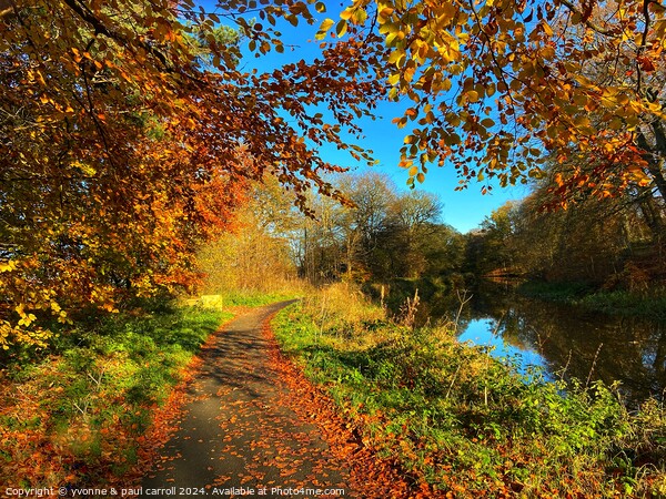 Autumn on the Forth & Clyde canal Picture Board by yvonne & paul carroll