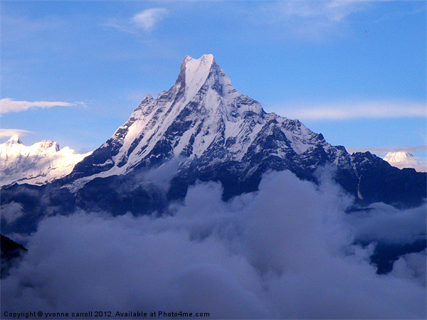 Macchapucchre (Fishtail) Mountain, Nepal Himalayas Picture Board by yvonne & paul carroll