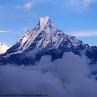Buy canvas prints of Macchapucchre (Fishtail) Mountain, Nepal Himalayas by yvonne & paul carroll