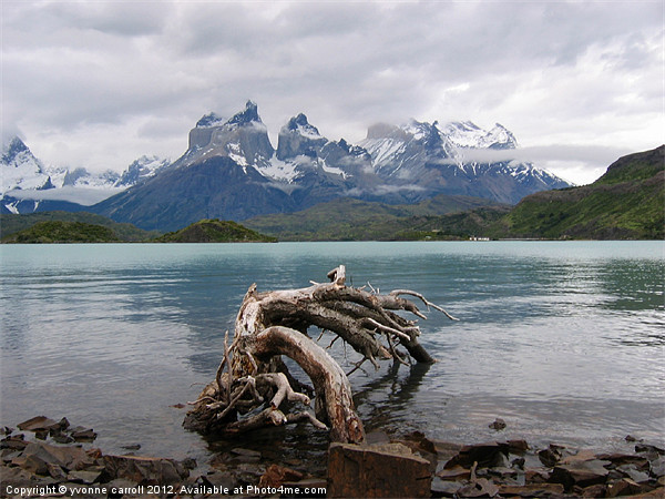 Torres del Paine Picture Board by yvonne & paul carroll