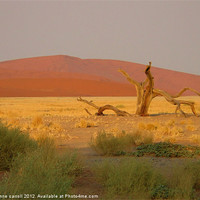 Buy canvas prints of Sossusvlei sand dunes, Namibia by yvonne & paul carroll