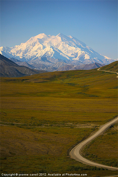 The road to McKinlay, Denali Picture Board by yvonne & paul carroll