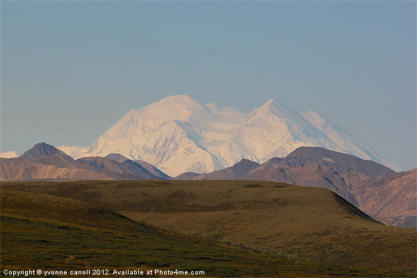 Mount McKinlay, Alaska Picture Board by yvonne & paul carroll