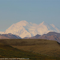 Buy canvas prints of Mount McKinlay, Alaska by yvonne & paul carroll