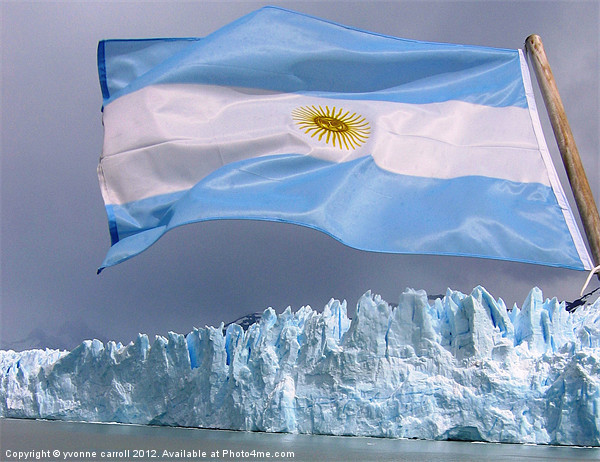Moreno Glacier with Argentinian flag Picture Board by yvonne & paul carroll
