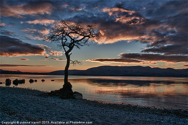 Loch Lomond sunset Picture Board by yvonne & paul carroll