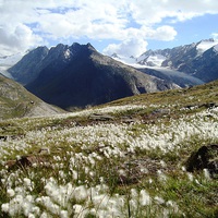 Buy canvas prints of Austrian mountains by yvonne & paul carroll