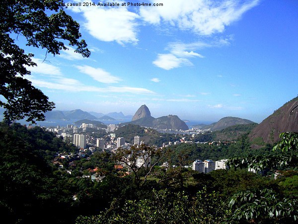 Rio de Janeiro, Brazil Picture Board by yvonne & paul carroll