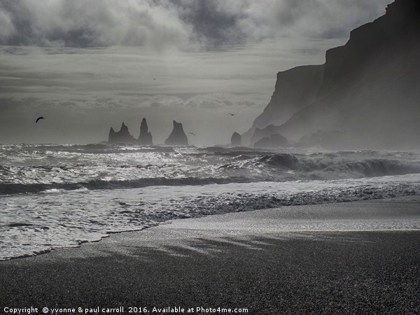 Sea stacks, Black sand beach, Vik, South Iceland Picture Board by yvonne & paul carroll