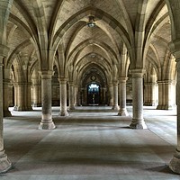 Buy canvas prints of The Cloisters, Glasgow University by yvonne & paul carroll