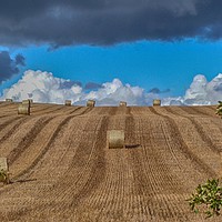 Buy canvas prints of Hay stacks along the Forth & Clyde canal by yvonne & paul carroll