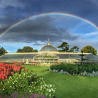 Buy canvas prints of Rainbow over the Botanics Glasshouse by yvonne & paul carroll