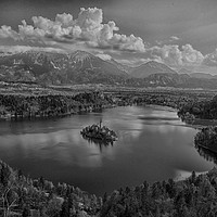 Buy canvas prints of Lake Bled in B&W, Slovenia by yvonne & paul carroll