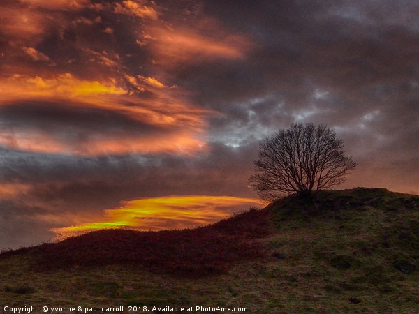Dramatic sunset - tree on a hill Picture Board by yvonne & paul carroll