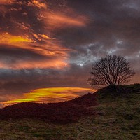 Buy canvas prints of Dramatic sunset - tree on a hill by yvonne & paul carroll