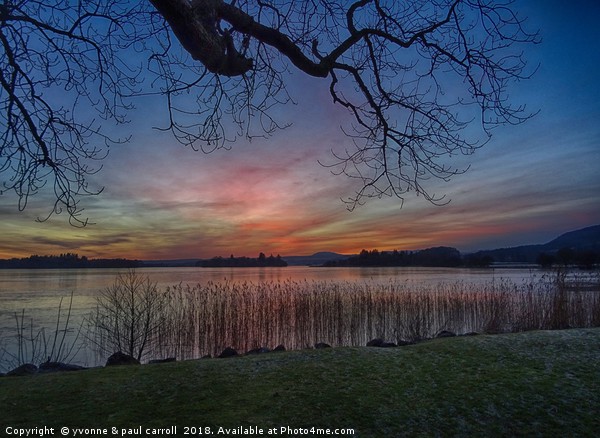 Lake of Menteith winter sunset Picture Board by yvonne & paul carroll