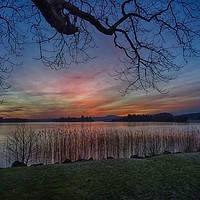 Buy canvas prints of Lake of Menteith winter sunset by yvonne & paul carroll