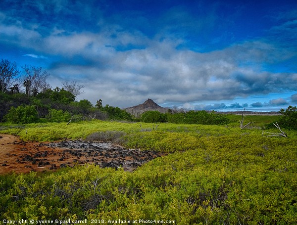 Dragon hill, Santa Cruz island, Galapagos Picture Board by yvonne & paul carroll