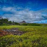 Buy canvas prints of Dragon hill, Santa Cruz island, Galapagos by yvonne & paul carroll
